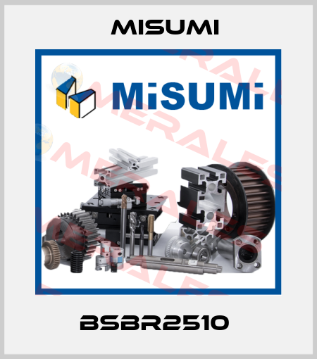 BSBR2510  Misumi