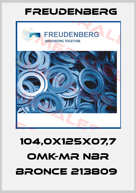 104,0X125X07,7 OMK-MR NBR BRONCE 213809  Freudenberg