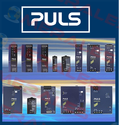 CS5.244 Puls