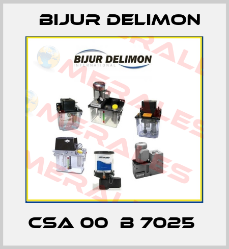 CSA 00  B 7025  Bijur Delimon