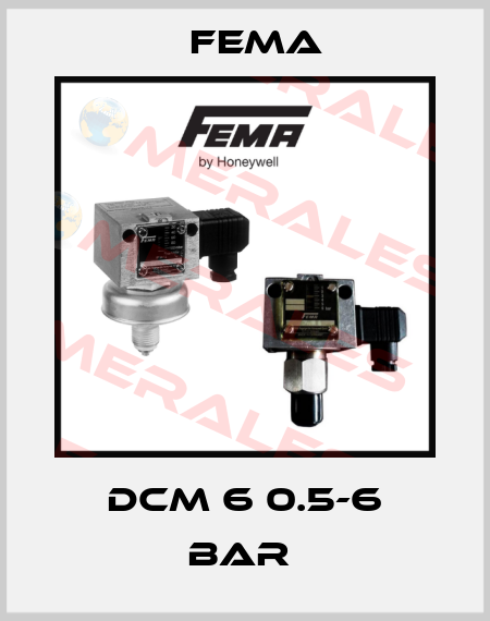 DCM 6 0.5-6 BAR  FEMA