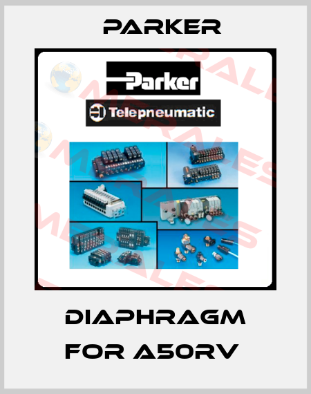 DIAPHRAGM FOR A50RV  Parker