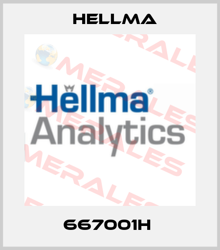 667001H  Hellma