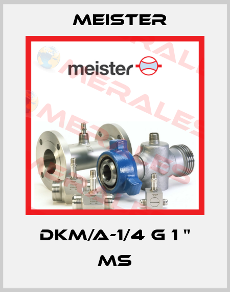 DKM/A-1/4 G 1 " MS Meister