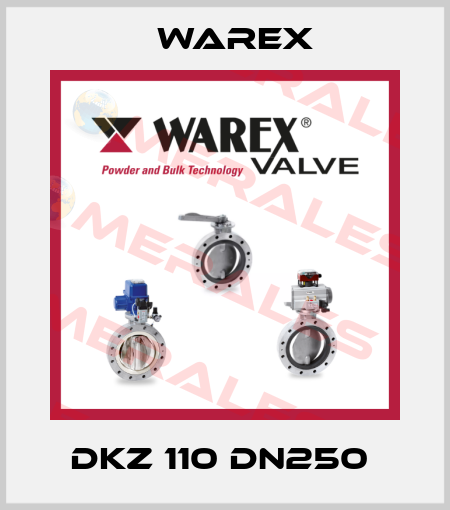 DKZ 110 DN250  Warex