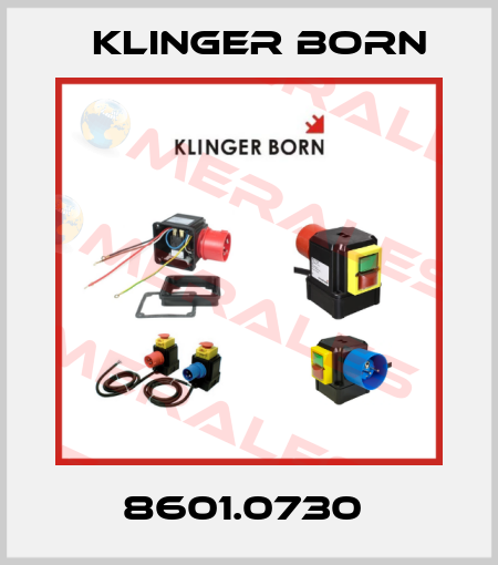 8601.0730  Klinger Born