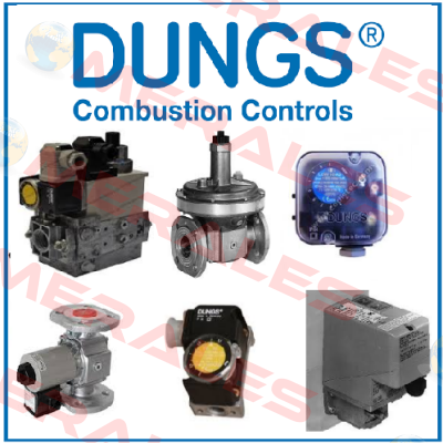 DMV-D 525/11 ECO 110 V  Dungs