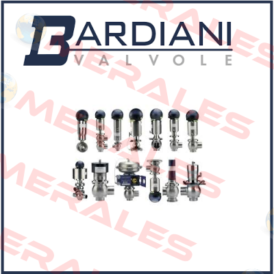 DN 50 ZP THREE-WAY VALVE MAINTENANCE KIT  Bardiani Valvole