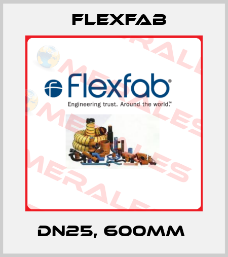 DN25, 600MM  Flexfab