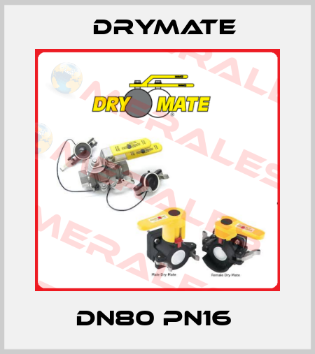 DN80 PN16  Drymate