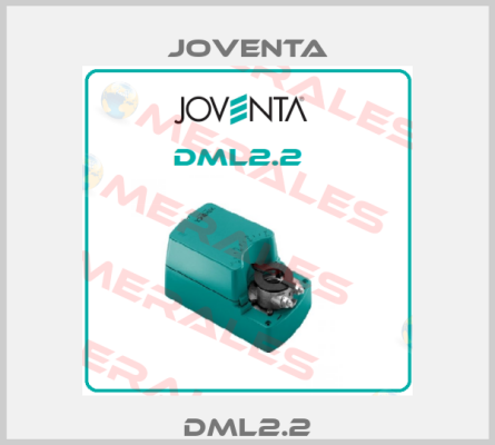 DML2.2 Joventa