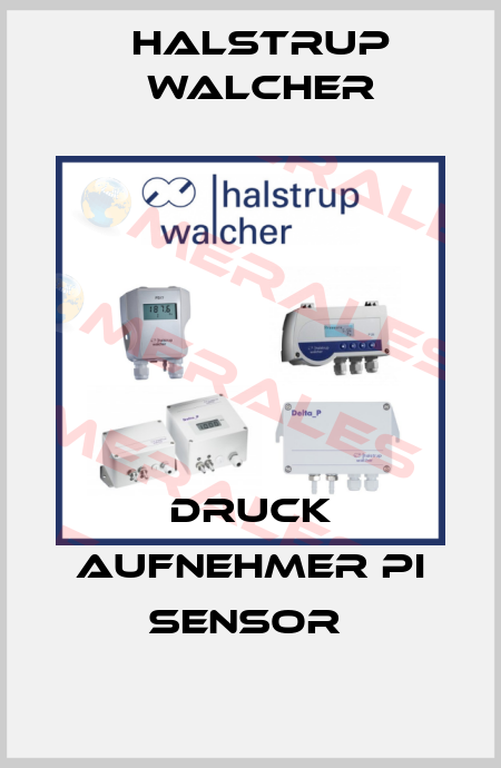 DRUCK AUFNEHMER PI SENSOR  Halstrup Walcher