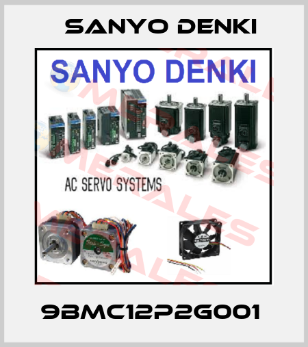 9BMC12P2G001  Sanyo Denki