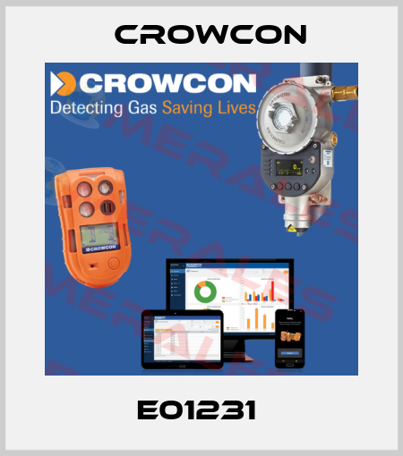 E01231  Crowcon