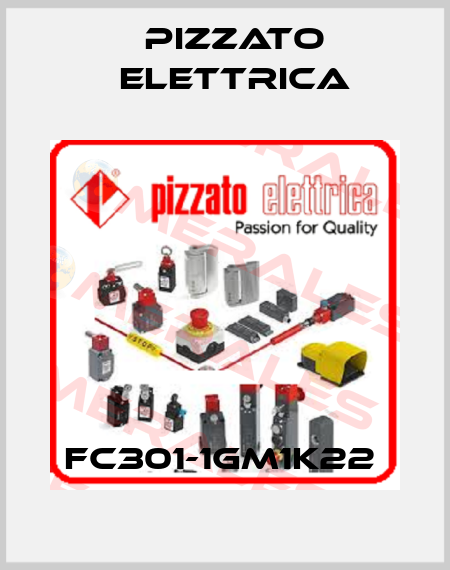 FC301-1GM1K22  Pizzato Elettrica