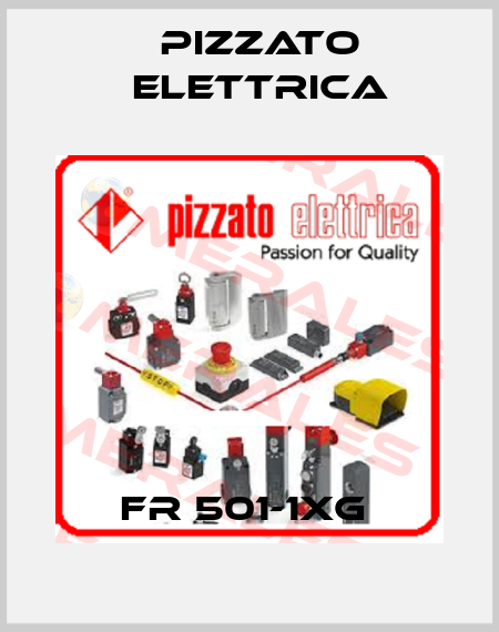 FR 501-1XG  Pizzato Elettrica