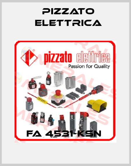 FA 4531-KSN  Pizzato Elettrica