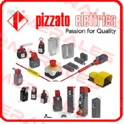 FR 705-GM2K70  Pizzato Elettrica