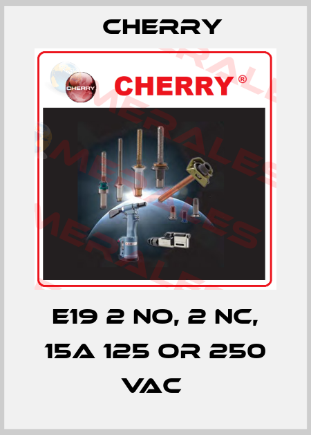 E19 2 NO, 2 NC, 15A 125 OR 250 VAC  Cherry