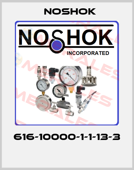 616-10000-1-1-13-3  Noshok