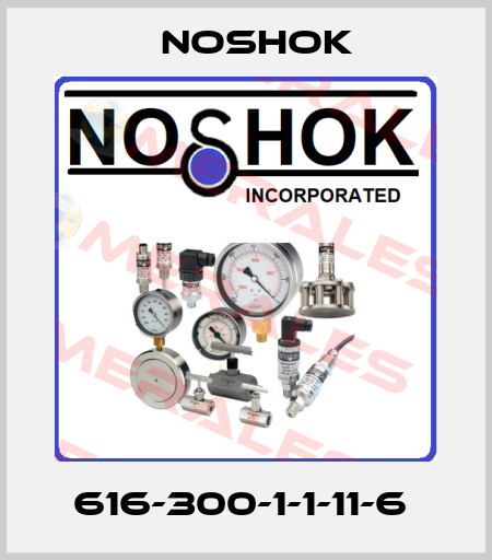 616-300-1-1-11-6  Noshok