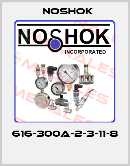 616-300A-2-3-11-8  Noshok