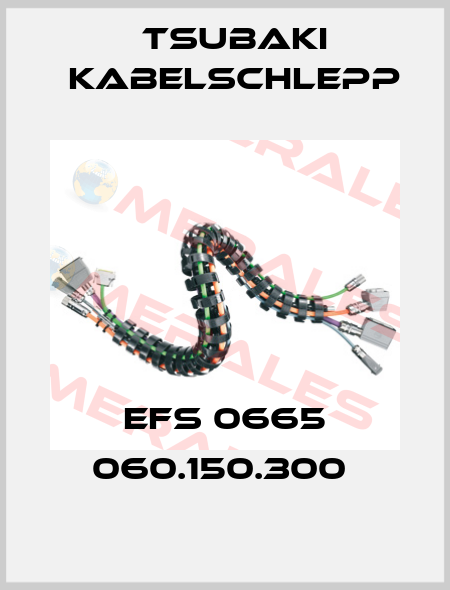 EFS 0665 060.150.300  Tsubaki Kabelschlepp