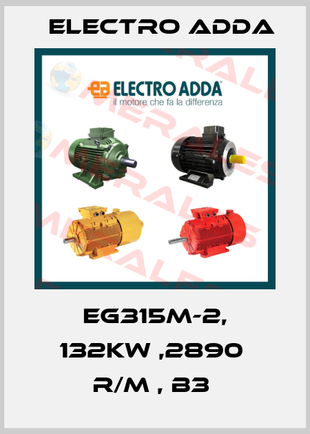 EG315M-2, 132KW ,2890  R/M , B3  Electro Adda