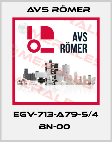 EGV-713-A79-5/4 BN-00  Avs Römer