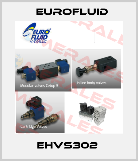 EHVS302  Eurofluid