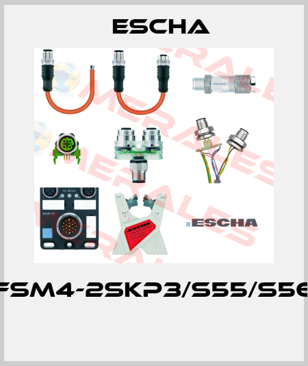 FSM4-2SKP3/S55/S56  Escha