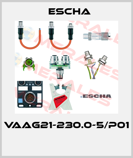 VAAG21-230.0-5/P01  Escha