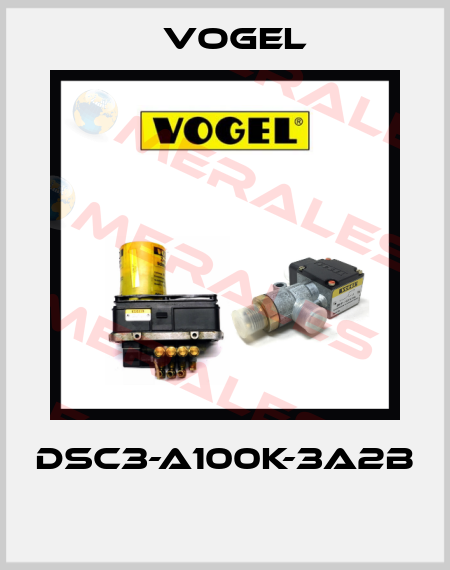 DSC3-A100K-3A2B  Vogel