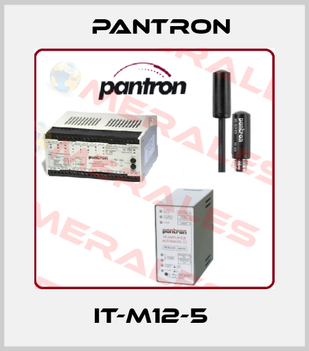 IT-M12-5  Pantron