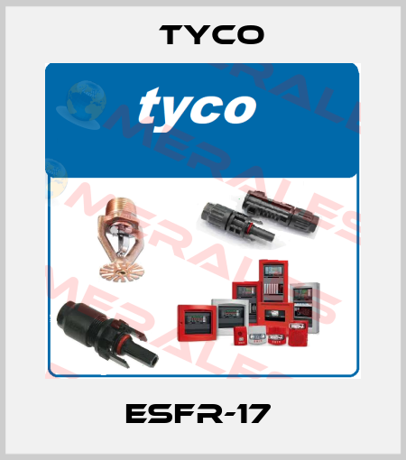 ESFR-17  TYCO