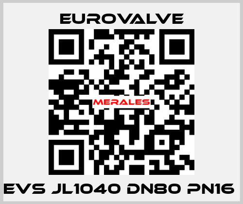 EVS JL1040 DN80 PN16  Eurovalve