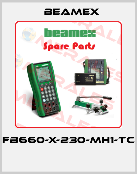 FB660-X-230-MH1-TC  Beamex