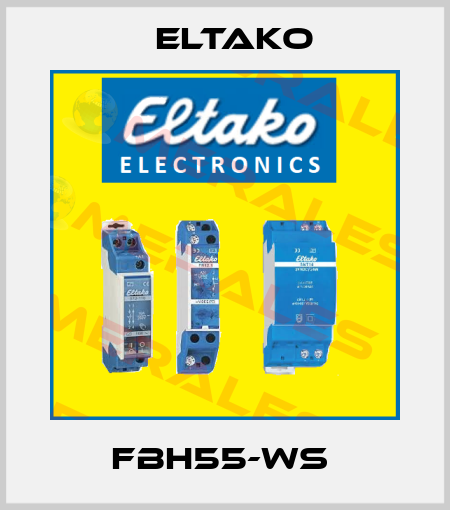 FBH55-WS  Eltako