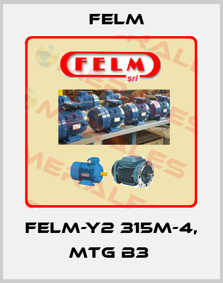 FELM-Y2 315M-4, MTG B3  Felm