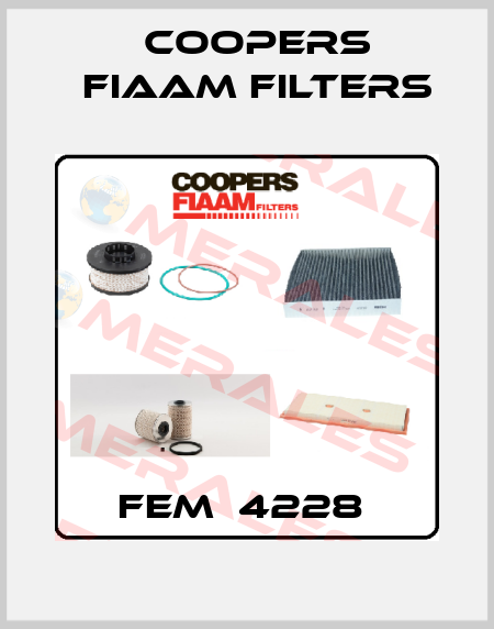 FEM  4228  Coopers Fiaam Filters