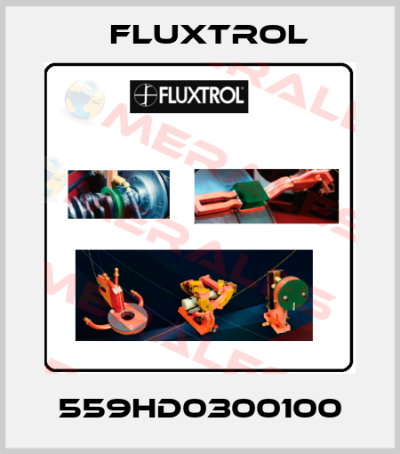 559HD0300100 Fluxtrol