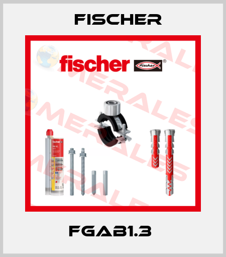 FGAB1.3  Fischer