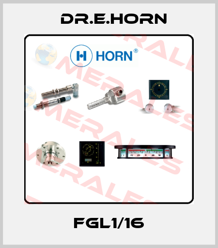 FGL1/16 Dr.E.Horn