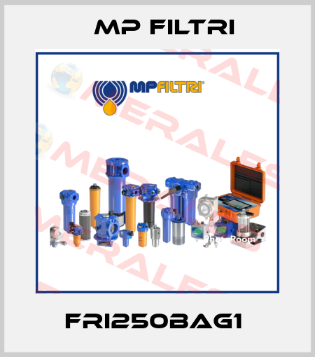 FRI250BAG1  MP Filtri