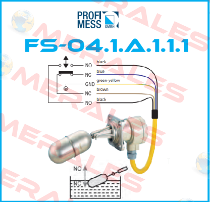 FS-04.1.A.1.1.1 Profimess