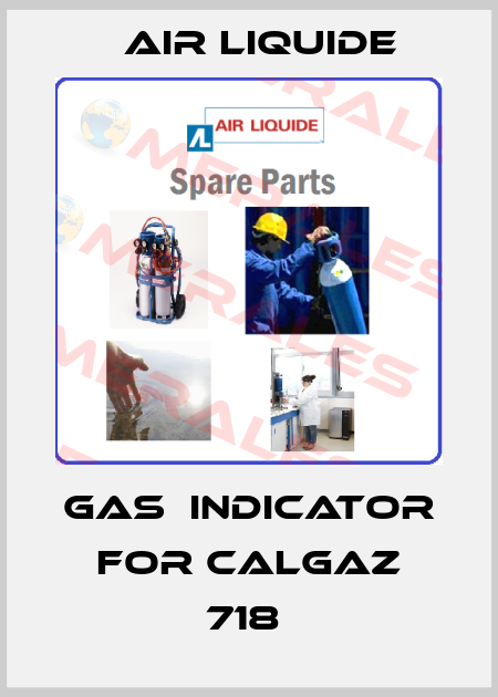 GAS  INDICATOR FOR CALGAZ 718  Air Liquide