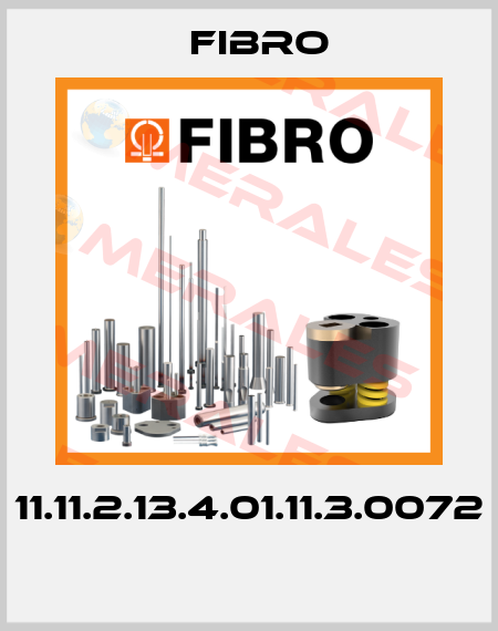 11.11.2.13.4.01.11.3.0072  Fibro