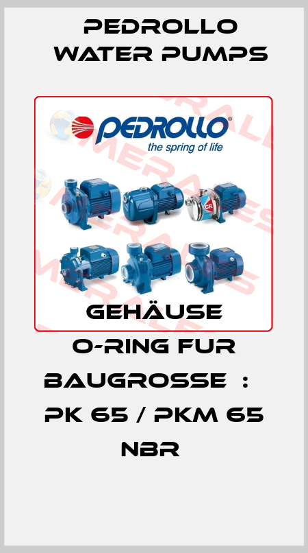 GEHÄUSE O-RING FUR BAUGROßE  :   PK 65 / PKM 65 NBR  Pedrollo Water Pumps