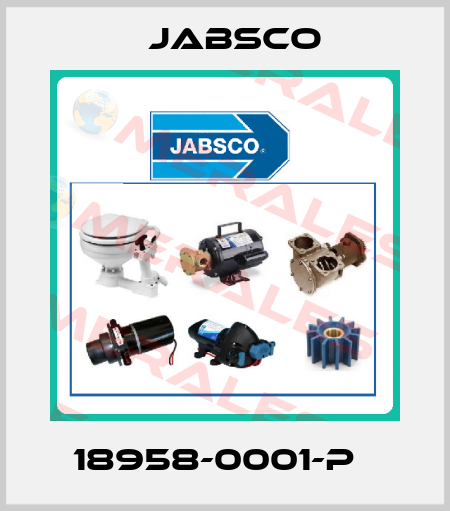 18958-0001-p   Jabsco