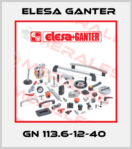 GN 113.6-12-40  Elesa Ganter